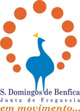 JF S DOMINGOS BENFICA
