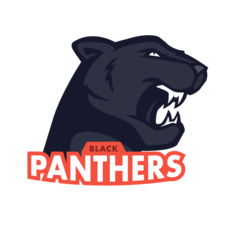 Black Panthers F.C.