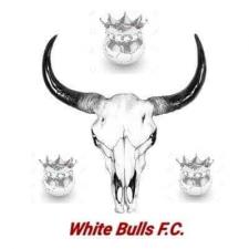 White Bulls FC