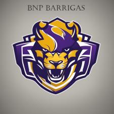BNP Barrigas