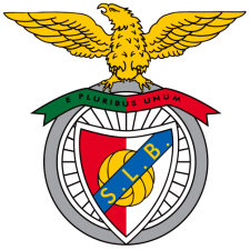 DCM 1