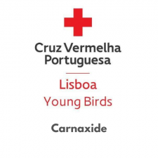 Young Birds Carnaxide