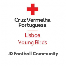 Young Birds/JD Football Community