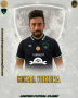 Micael Teixeira