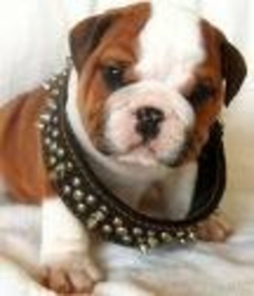 Filipe 
